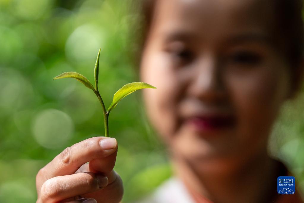威尼斯电子游戏下载